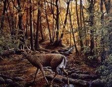 Pierre Girard - Prudence, De. �����, ����