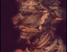 lrsArcimboldo-Water. , 
