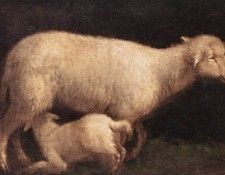 BASSANO Jacopo Sheep And Lamb. ,    