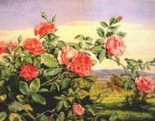 hill tearoses in landscape 1874. ����