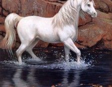 Sanderson, Ruth - Unicorns 04 (end. , 