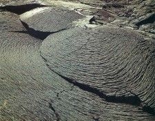 art 745. ������, �����