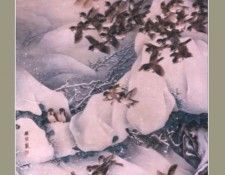 pic01456. ���, Yongjun