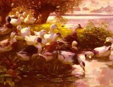 Koester Alexander Max Ducks On A Lake. ������, ���������
