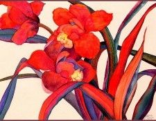bs-flo- Sara Steele- Cymbidium Anna Marie- Sunshine. , 