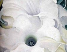 File9348. OKeeeffe, 