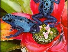 pa TonyOliver FrogsSingSongs 03b. , 