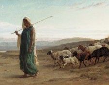 Rachel and her flock And behold Rachel his daughter cometh with the sheep. , 