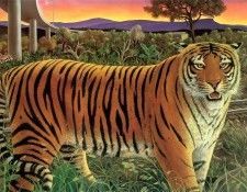 kb Bragg CL Twilight of the Tiger. ,  