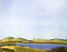 art 317. Freilicher, 