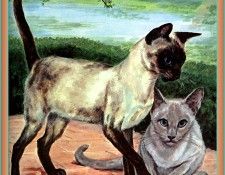 Ds-Cats Art 03 Marge Opitz Buridge. Buridge, ����� Opitz