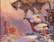 lrsKromschroederLee-BalanceRockCougar. Kromschroeder, 
