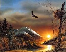 RArt SWD TR Flying Free. Redlin 