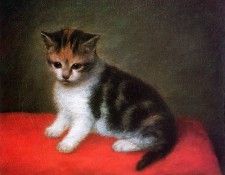 Stubbs George The ktten of Ann White Sun. , 