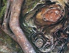 art 667. ������, �����