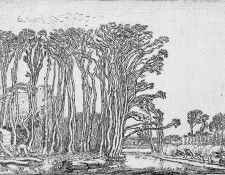 Buytewech Willem Dead tree Sun. Buytewech, ������