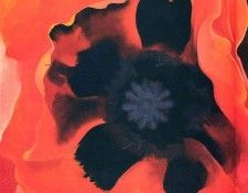 img944. OKeeeffe, ������