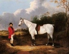 Cooper Abraham Mr Stillwell With His Favorite Hunter. , 