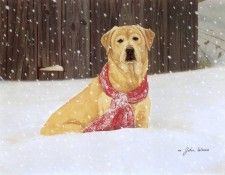 kb Weise John-Cold Nose Warm Heart. , 