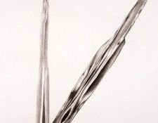 26928. ������, �����