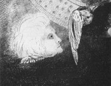 12. ������ �����