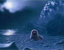 Safe at Home. Schimmel, ������