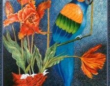 cr BarbaraESchwemmer-Parrots. Schwemmer, ������� E