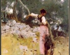 Sargent Capri-Girl-sj. ,