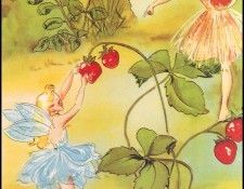 lrsAOF090SjogrenAnnMari-ADayinFairyland3. , -