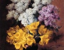 Stappers Julien April Sun . Stappers, ������