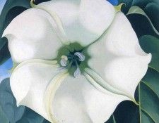File9343. OKeeeffe, 