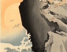 pic09335. �����