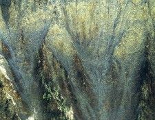 art 710. , 