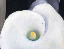 File9336. OKeeeffe, 