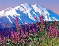 Mount McKinley, Denali National Park, Alaska - 1600x1200 - I. ���� Denali National