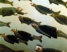 Sa09 School of Fish MichaelSowa sqs. ����, ������