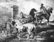 Horses CGF. ������, ��� ��� ����� ������