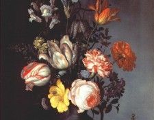 ast flowers in vase with shells and insect c1628-30. ,   