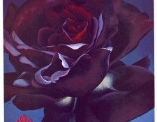 lrs Trilla Black Velvet. Trilla, 