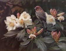 Isaac, Terry - Garden Home (end. , 