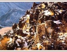 bs-na- Simon Combes- Mountain Myth. , 