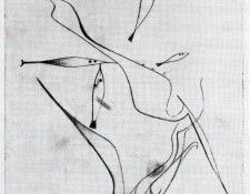 4DPicttrt. ����, �����