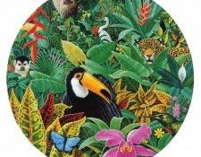 kb Bragg CL Rainforest Magic. �����, ������ ����