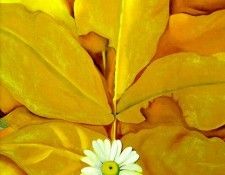 okeeffe08. OKeeeffe, ������