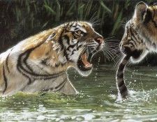 kb Harrison A Tiger By the Tail. , 