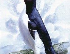 Cunieform 029c-Schouten. ��������