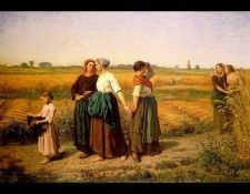 23606. ������, ����