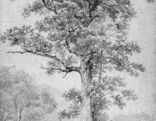 Koekkoek Barend C Oak Sun. Koekkoek, Barend ��������