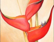 bs-flo- Georgia O Keefe- Not From My Garden.   O