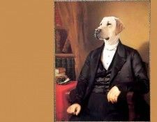 dog portraits csg024 sir rufus wilbraham. , 